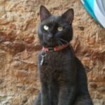 Foto de perfil de Esther-Test
